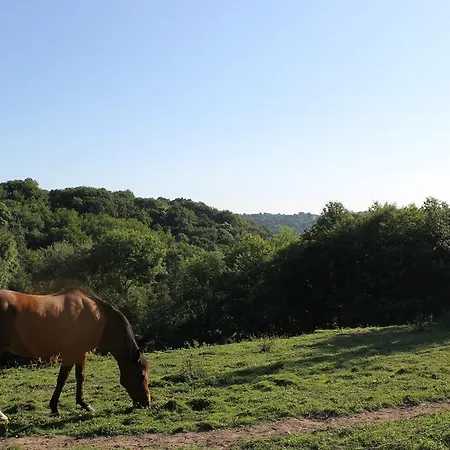 La Chaumiere Aux Faisans *