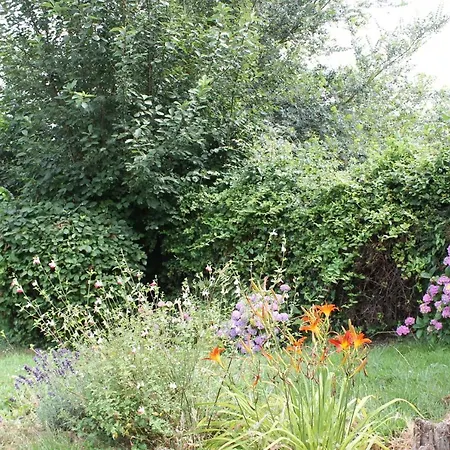 La Chaumiere Aux Faisans Ablon