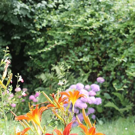 La Chaumiere Aux Faisans Σπίτι διακοπών *