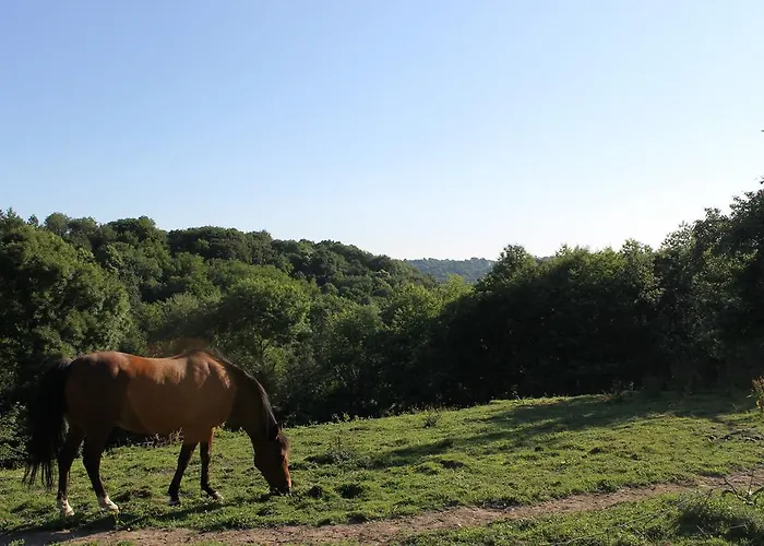 La Chaumiere Aux Faisans *