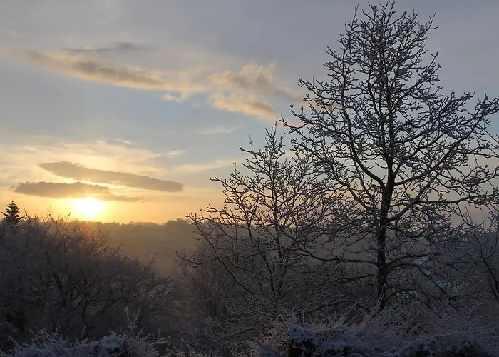 La Chaumiere Aux Faisans Ablon