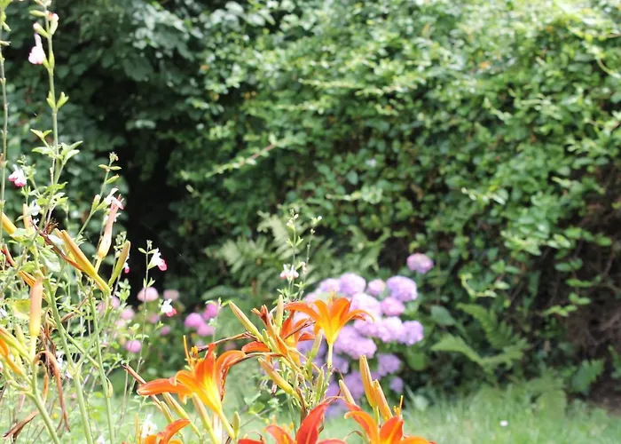 La Chaumiere Aux Faisans Holiday home *